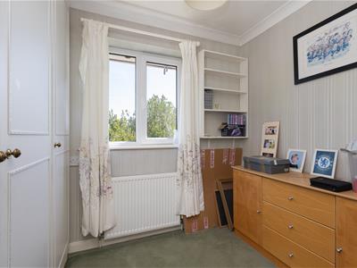 Picture 23